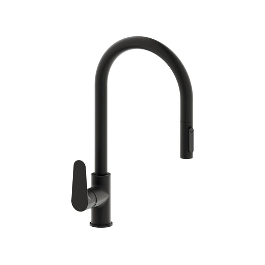 Niza Pull Out Kitchen Faucet W. Inlet For Filtered Water